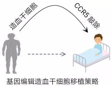 艾滋病白血病新方法8 艾滋病白血病新方法8