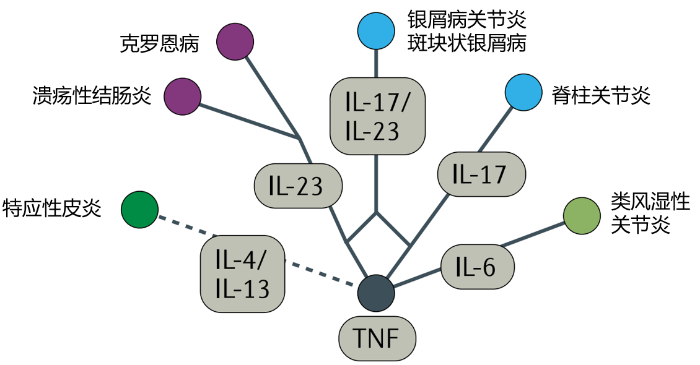 修美乐3 修美乐3