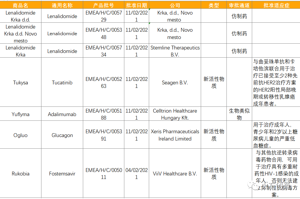 表2 2021年02月EMA批准的药物列表 表2 2021年02月EMA批准的药物列表