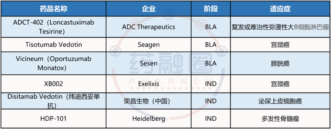 表格:ADC申请上市药物 表格:ADC申请上市药物