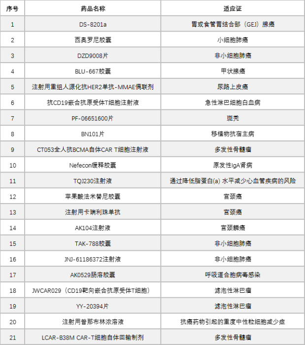 表2. 被授予突破性治疗的药物(截至2020年12月31日) 表2. 被授予突破性治疗的药物(截至2020年12月31日)