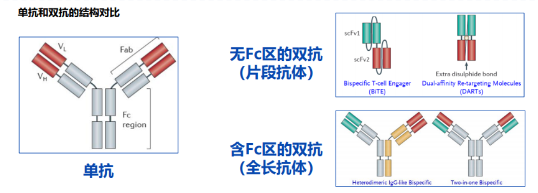 图片2 图片2