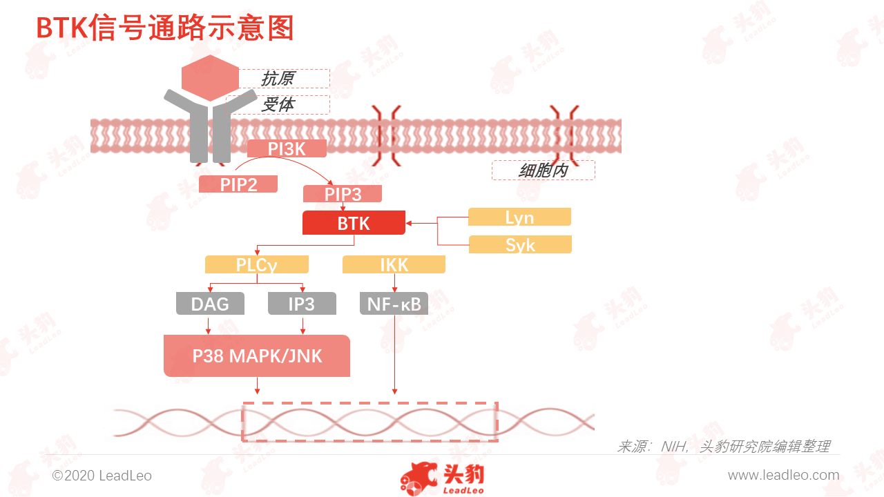 图片2 图片2