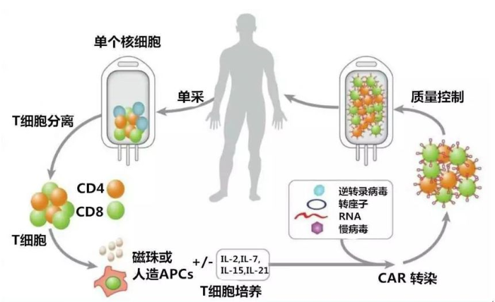 图片1 图片1