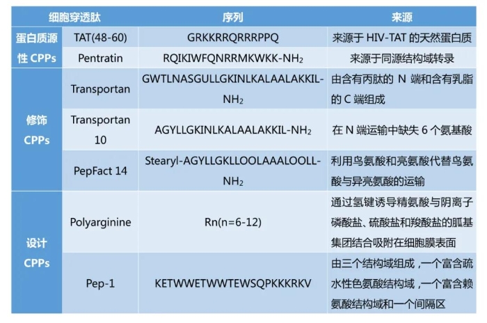 表2:常见的CPPs 表2:常见的CPPs