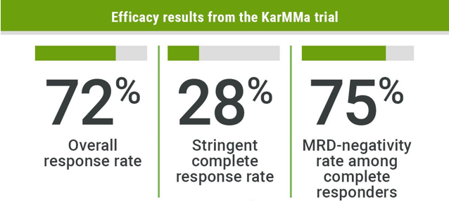 KarMMa试验有效性结果 KarMMa试验有效性结果